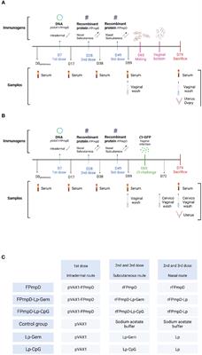 Evaluation of three formulations based on Polymorphic membrane protein D in mice infected with Chlamydia trachomatis